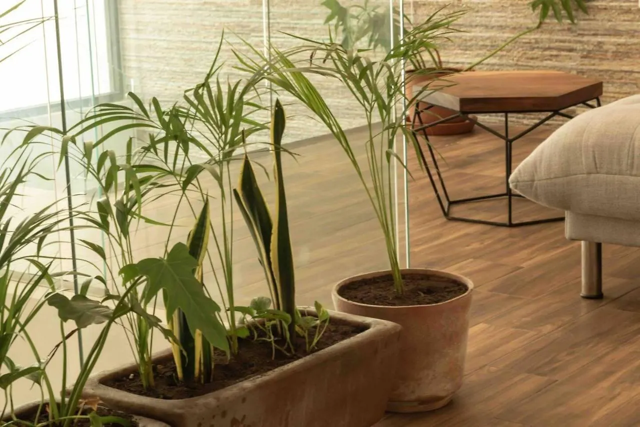 Lovely 2-Bed Apartment In Tulum With Private Pool México